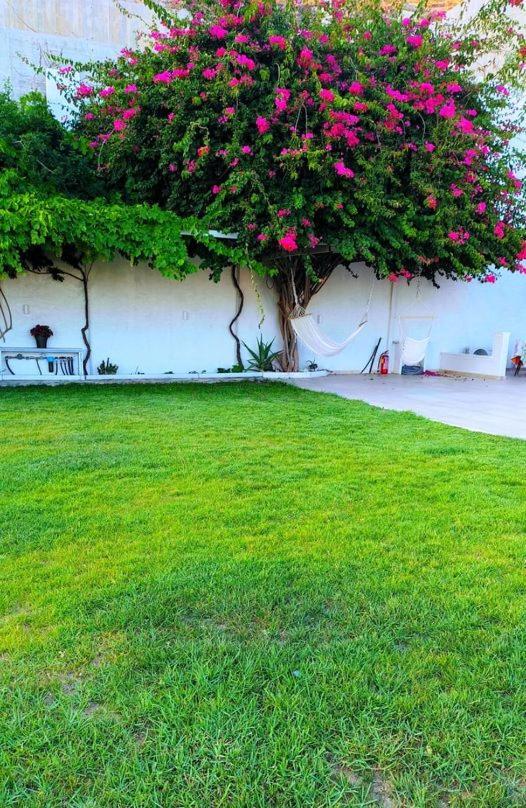 Alta Vista Naxos Lejlighedshotel Naxos City Eksteriør billede